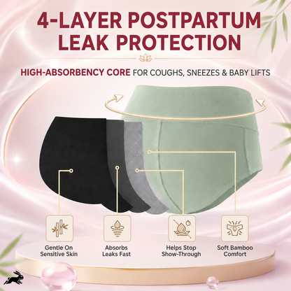 Drymore™ Postpartum Bamboo Leakproof Underwear